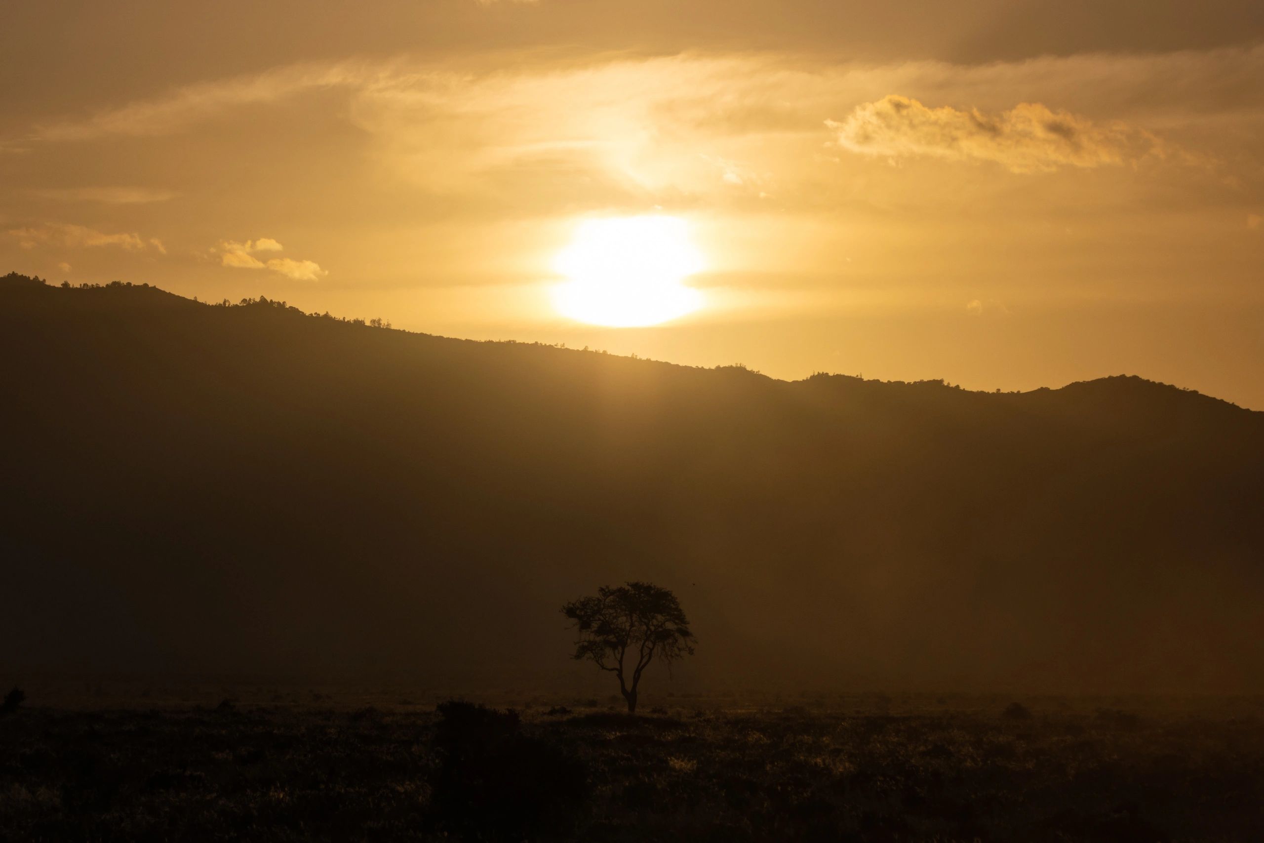 Tanzania July 2023